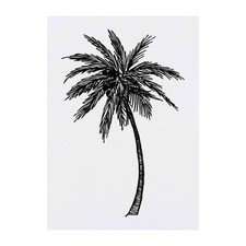 'Palm Tree' Temporary Tattoos / Transfers TO00046520 