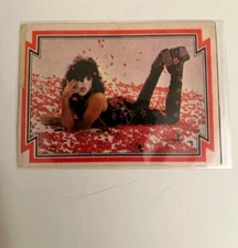 Donruss Kiss Paul Stanley Sticker #1 from 1978/1979 from Argentina Stani
