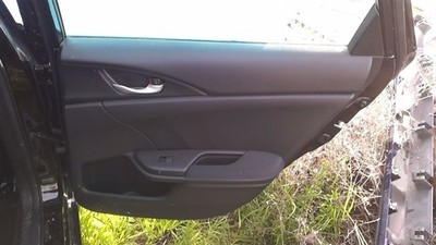 INSIGHT   2020 Door Trim Panel Rear 29076915