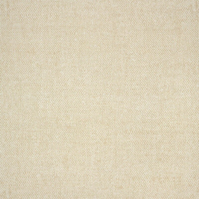 Sunbrella Chartres Salt 45864-0019 Outdoor Furn. Fabric by Yard 54''W