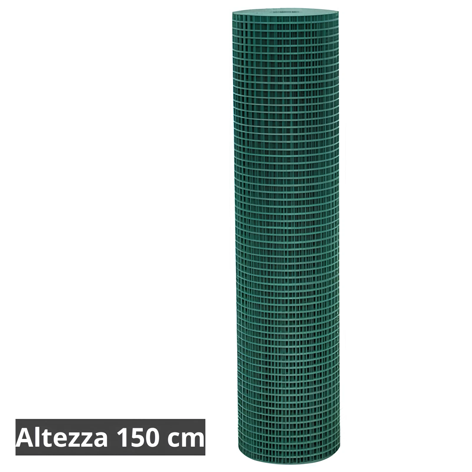 Foto 12 di 12