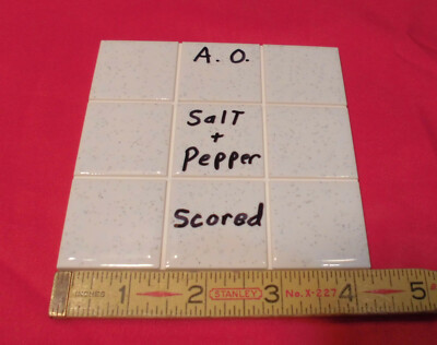 1 pc.  Glossy Ceramic Tile: Salt & Pepper, American Olean 4-1/4'' Scored in 9ths
