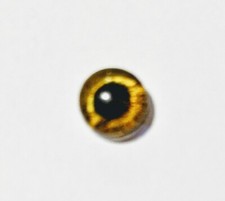 10mm glass cabachon eyes great for taxidermy, needle felting, toy making