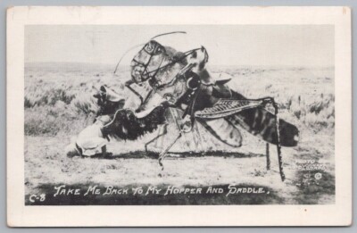 Exaggeration RPPC Giant Grasshopper Bucking Cowboy Conrad Photo