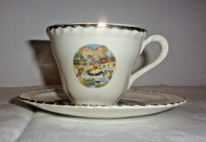 VINTAGE SCENIC SOUTH DAKOTA CUP & SAUCER