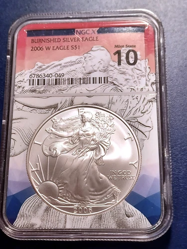 2006-W NGCX MS10 Burnished American Silver Eagle