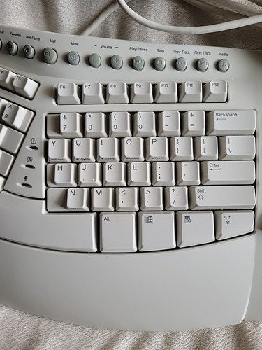 Dell by Microsoft Ergonomic Natural USB Keyboard Pro Model No. RT9403 Tested - Picture 4 of 14