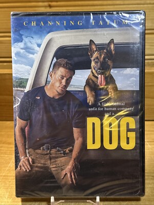 DOGS CAN’T SEE THE VIDEO+4CLIPS [DVD] Clifford The Big Red Dog (DVD) New 32429346254 | eBay