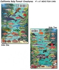 Franko Maps - Kelp Forest Fish ID