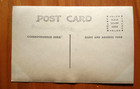 patient dog and one cross dressing owner, suillen woman real photo postcard — photo 2