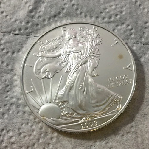 2009 American Silver Eagle 1 Troy Oz .999 Fine Silver ~ Always In Capsule