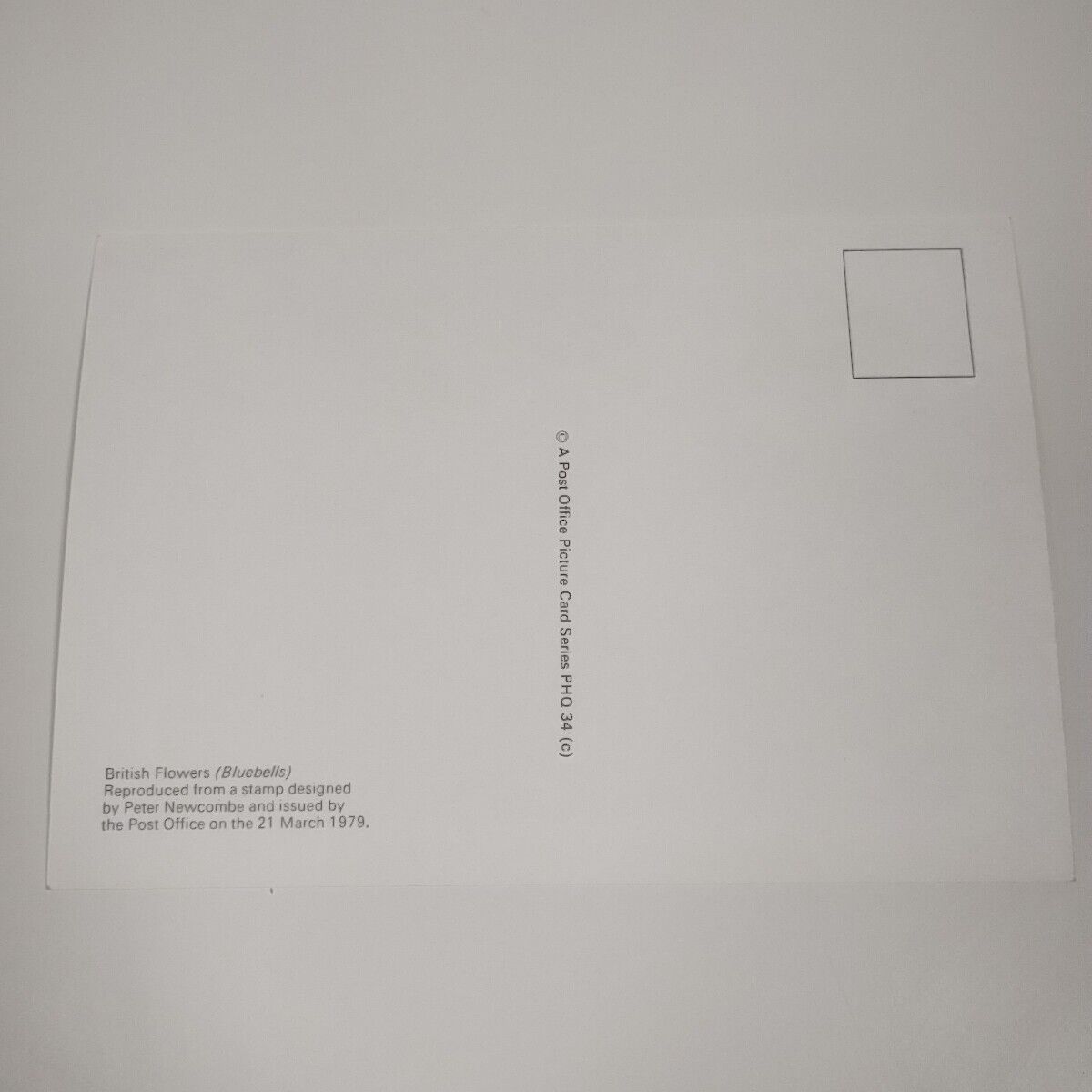 Foto 10 di 15