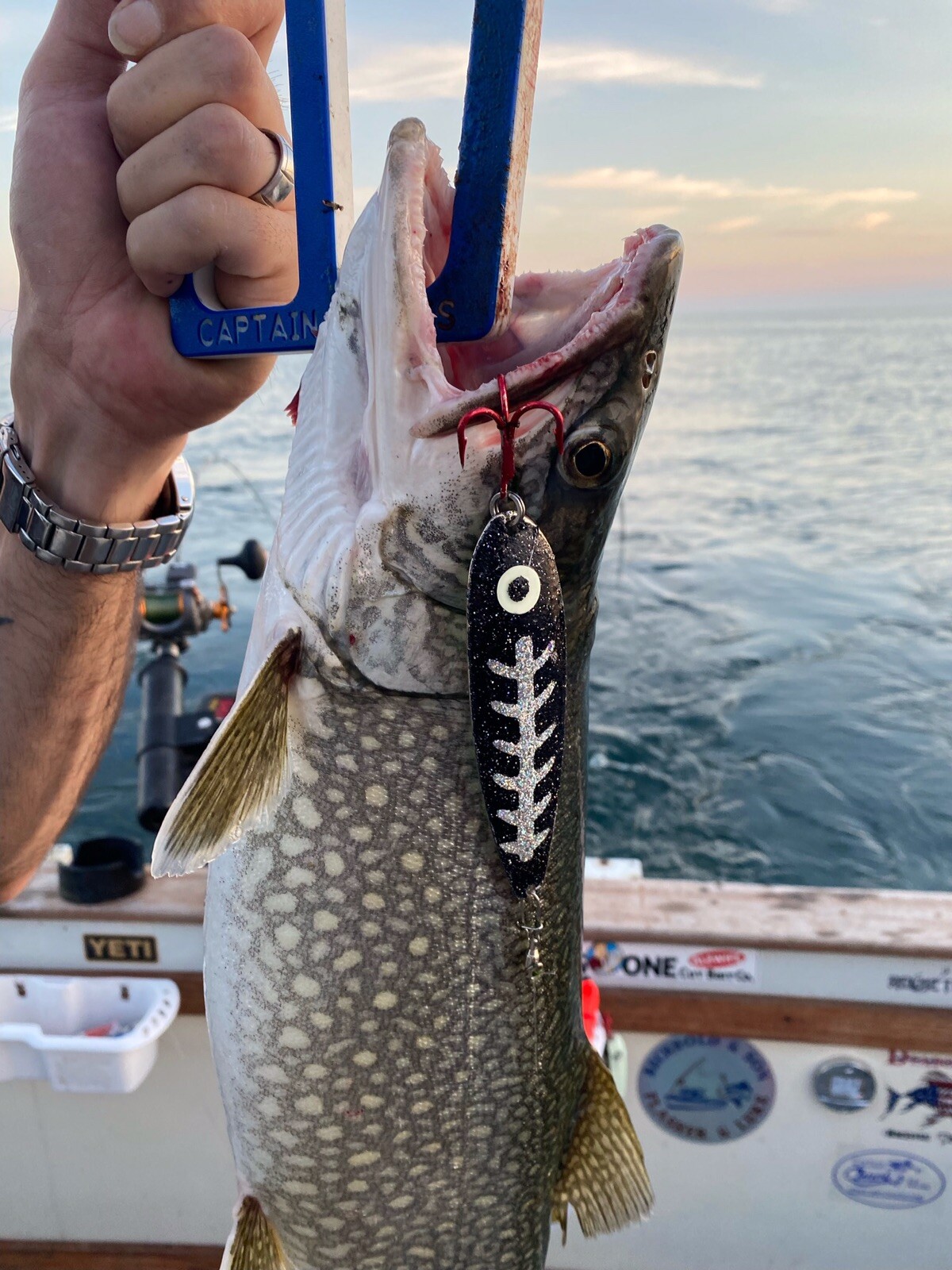 High Percentage Salmon Trolling Spoon With Hyper Vis Tape Not Paint 3 3 ...