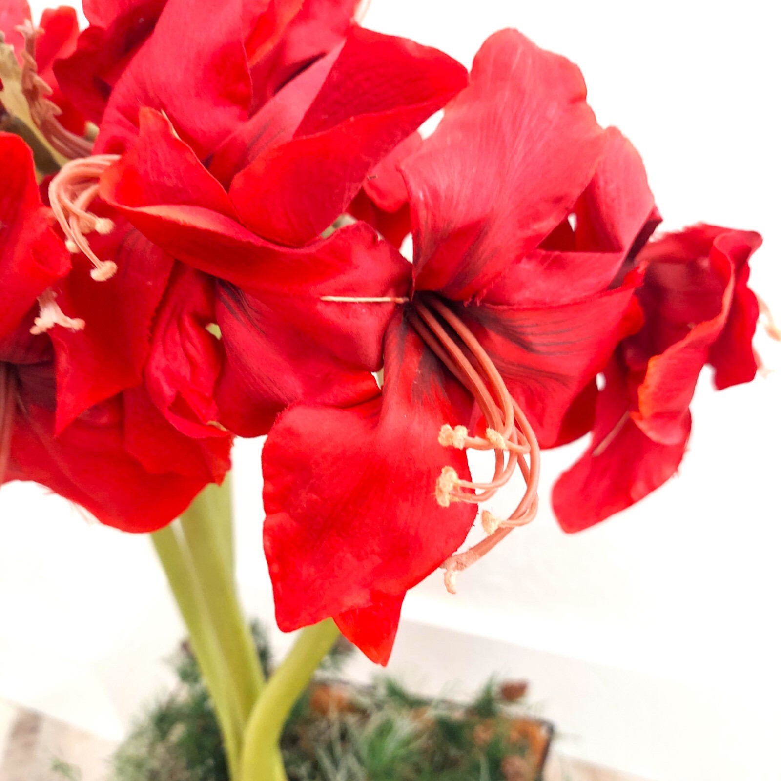 Red FLORAL ARRANGEMENT LARGE 30" CENTERPIECE, QUALITY Silk FLOWERS