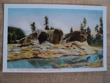 YELLOWSTONE National Park Grotto Geyser Formation Postcard by HAYNES #14029
