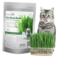 Cat Grass Seeds, 4 Oz, Non-GMO Wheat Cat Grass Seeeds & Oat Seeds Mix, 4 OZ