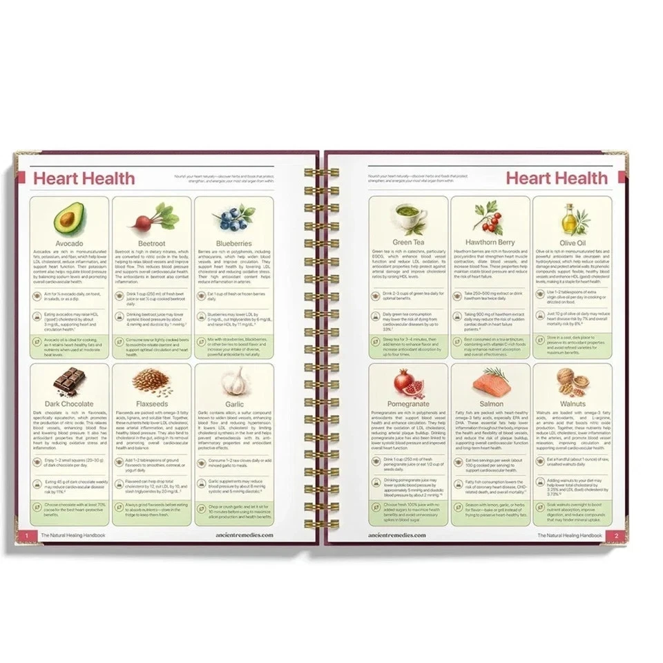 The Natural Healing Handbook, Spiral-Bound Guide for Herbal Remedies and Natural - image 4 of 4