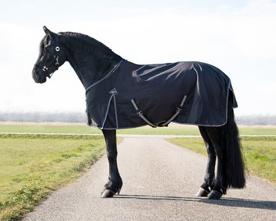 QHP Turnout Decke Big neck Outdoordecke Regendecke Weidedecke 0gr Friesen