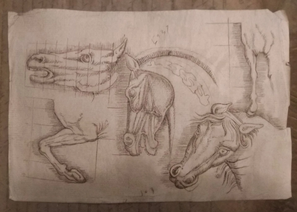 Original Hand Drawing Horse Studies Walnut Ink on Paper - Image 4 of 4