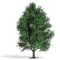 Busch H0 3742 Espe Sommer 150 Mm