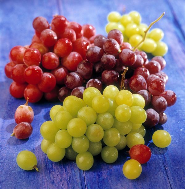 grape SEED １～８ 00745042070160.png