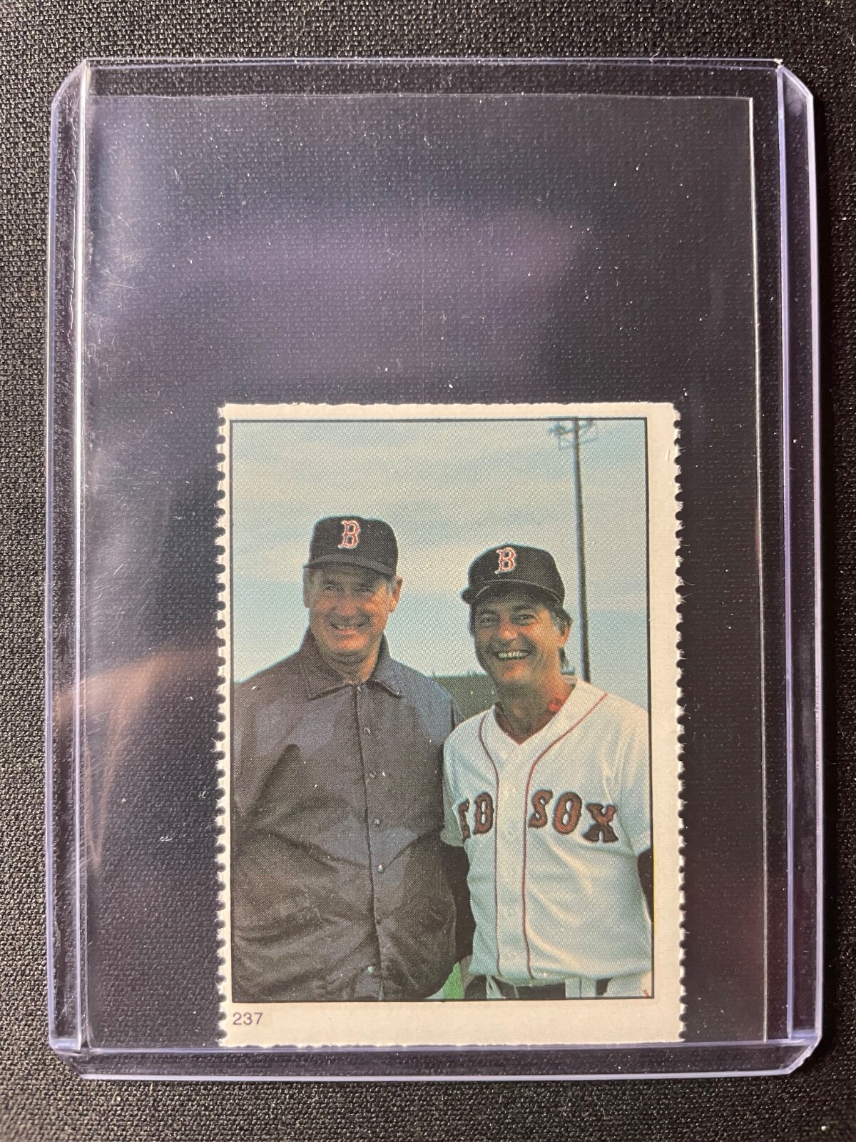 1982 Fleer Stamps Ted Williams/Carl Yastrzemski #237 Boston Red Sox!!!