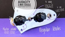 Audacity. A Fender Jazz Bass Control Plate w/ 3 way Toggle and Varitone Switch