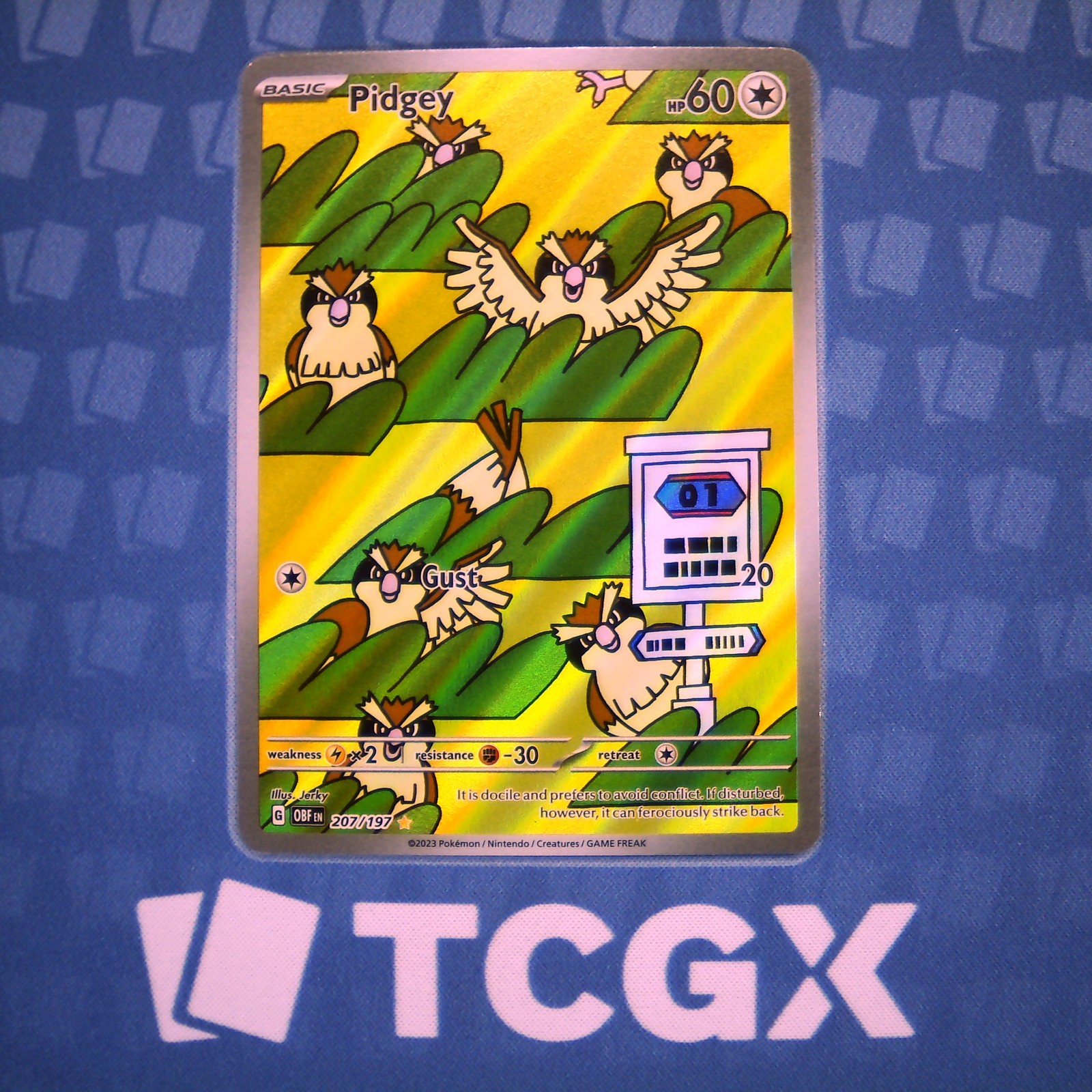 Pokemon - Pidgey - 207/197 - SV03: Obsidian Flames - Holo - Illustration Rare NM