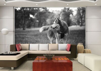 3D Wolf Animal G4239 Wallpaper Wall Murals Removable Self-adhesive Honey