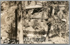 RPPC Postcard Black Hills SD Double Spiral Bridge along Iron Mt Road C1930-1950