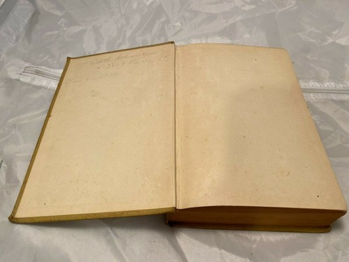 The Tempting of Paul Chester Antique 1920 Hardcover Book Alice & Claude Askew - Picture 4 of 11
