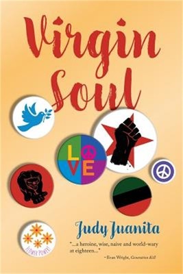 Virgin Soul (Paperback or Softback)