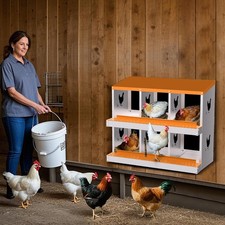 Elektrische Hühnerklappe NyPots Automatische Hühn Produktbild-Vorschau 11