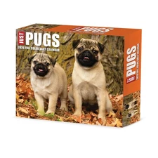 Just Pugs 2026 5.4" x 6.2" Box Calendar