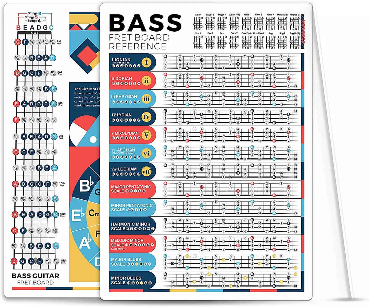 Bass Scales Chart for Beginner Adult or Kid, 8'' X 11'' Pocket Bass Scales  Cheat