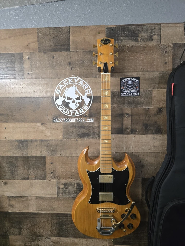 1974 Sigma / Martin /picador SBG2-9 электрогитара  - Изображение 2 из 4