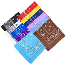 Unisex Paisley Pattern 100% Cotton Bandana Head or Neck Scarf: 1CT