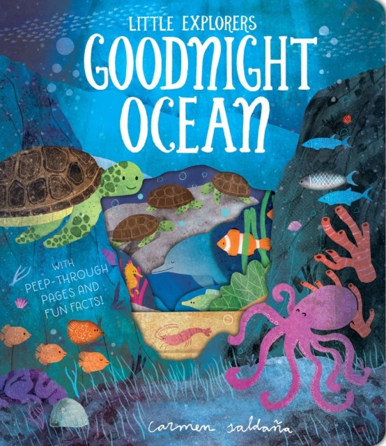 Goodnight Ocean by Becky Davies (Board book)