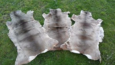 PROVELLUS Pelliccia di capriolo capriolo pelliccia di capriolo pelliccia invernale coperta di capriolo Larp coperta sella tappeto decorativo eco