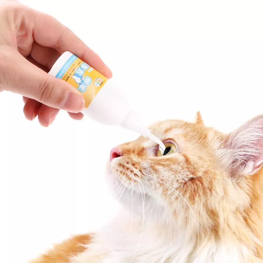 Afrin hotsell for cats