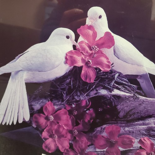 Don Vulcani "A Handsome Pair" Signed Autograph Dove Print Limited To 225 - Picture 4 of 5