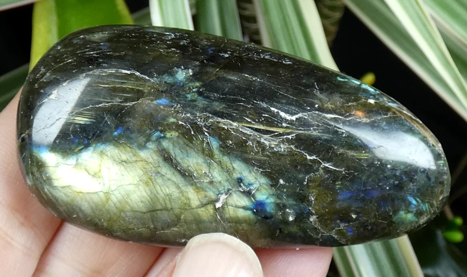 Galet Labradorite bleu & jaune 7x3.5cm Madagascar lithothérapie reiki ancien - Photo 3/4