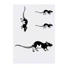 4 x 'Rat' Temporary Tattoos / Transfers TO00033053 
