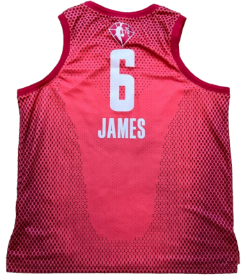 Jordan LeBron James #6 2022 NBA All Star Game Swingman Red Jersey
