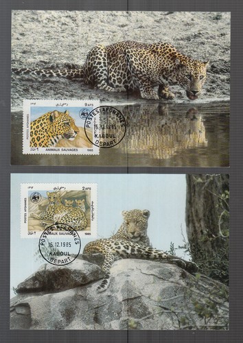 WWF World Wildlife cada 4 FDC o MC 1985 Afganistán "El leopardo" - Imagen 2 de 6