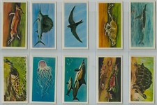 Brooke Bond. A full set, 50 British cards, B29: 'Wonders of Wildlife'