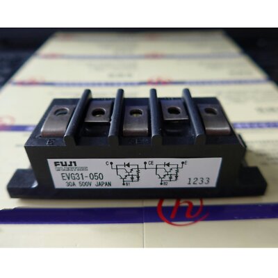 1PCS New Transistor Power Module EVG31-050 #F8