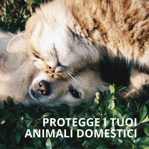 Olio Di Neem Insetticida Biologico Contro Parassiti Insetti Orto Piante Naturale - Foto 31 di 34