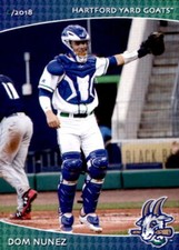 2018 Hartford Yard Goats Grandstand #24 Dom Nunez Elk Grove California CA Card