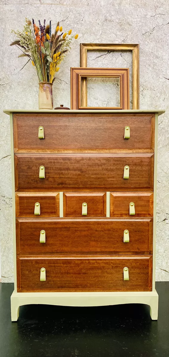 Stag tallboy 2024